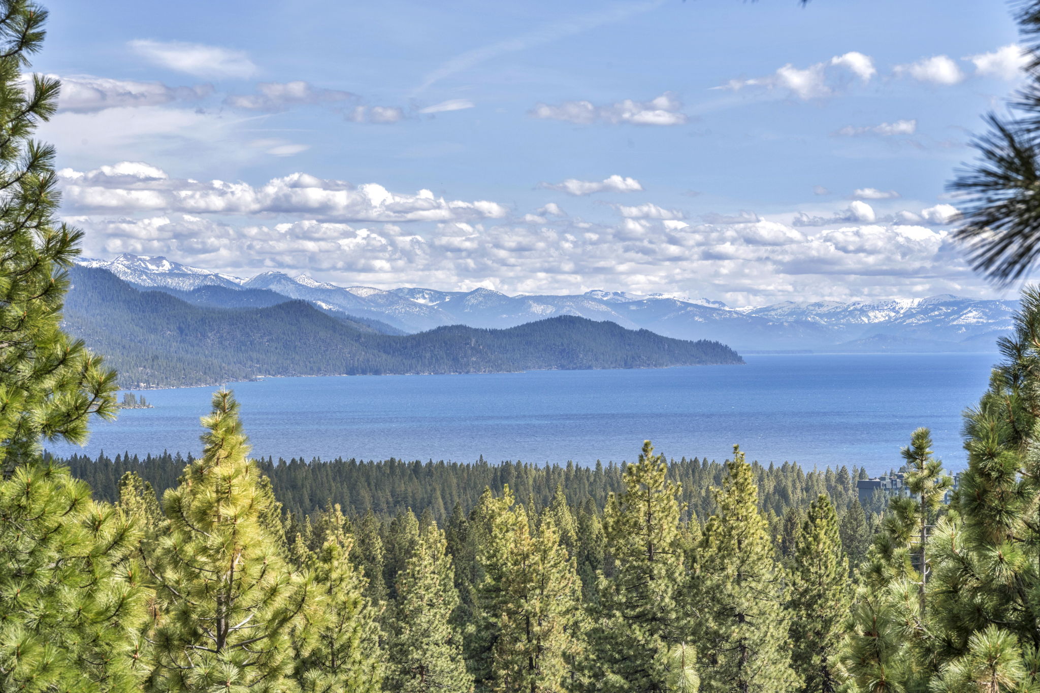 11-web-or-mls-517-driver-way