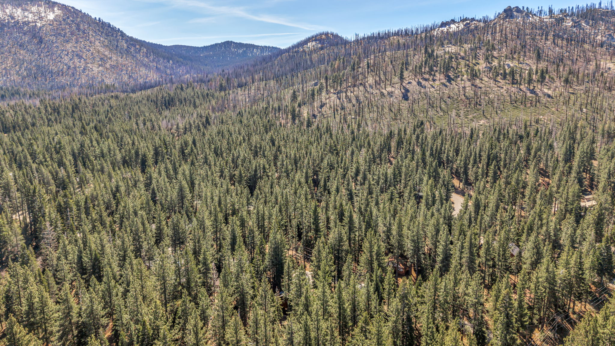 9-web-or-mls-1724-mohican-dr